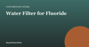 HomeWaterWise branded graphic: Water Filter for Fluoride