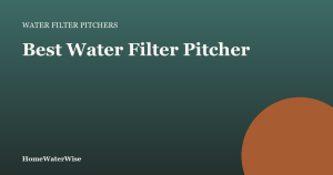 HomeWaterWise branded graphic: Best Water Filter Pitcher